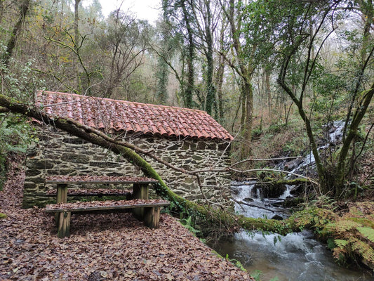 Senderos de la vida oculta. Ruta dos Muíños do Río Medio (5 de julio)
