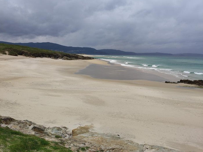 Ruta de senderismo "Senderos de la vida oculta"  (29 de Marzo , 2026)