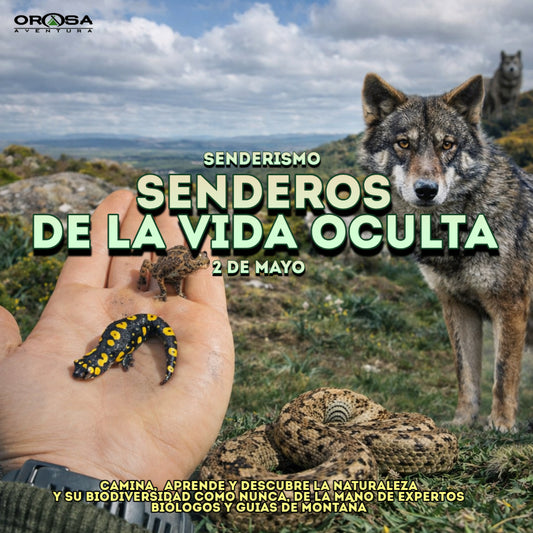 Ruta de senderismo "Senderos de la vida oculta"  (2 de mayo)