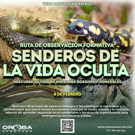 Ruta de senderismo "Senderos de la vida oculta"