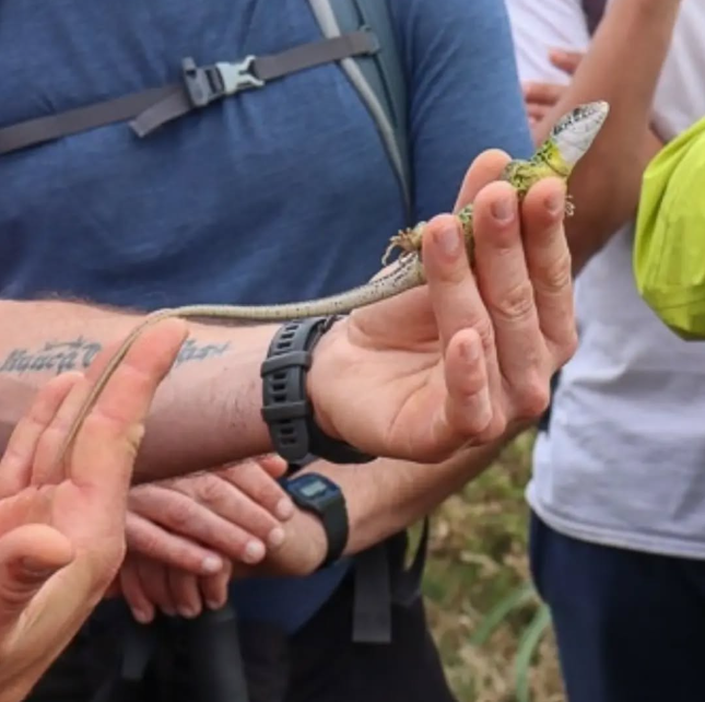Ruta de senderismo. Senderos de la vida oculta: Ruta da Auga e a Pedra y Os Sete Muíños ( 29 Noviembre)
