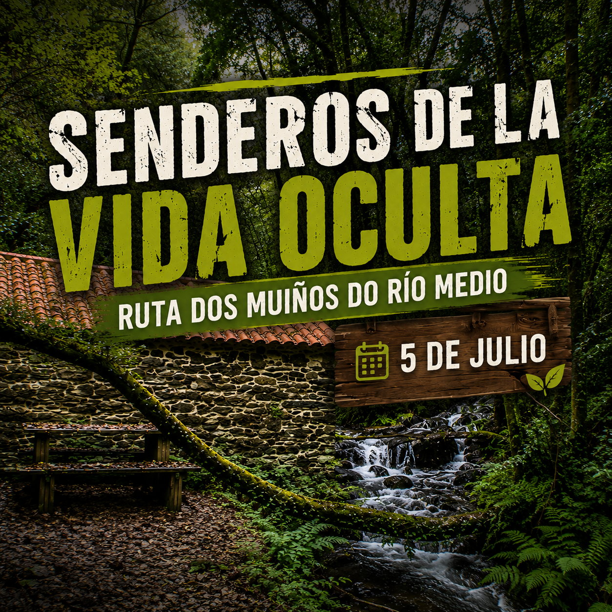 Senderos de la vida oculta. Ruta dos Muíños do Río Medio (5 de julio)