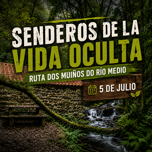 Senderos de la vida oculta. Ruta dos Muíños do Río Medio (5 de julio)