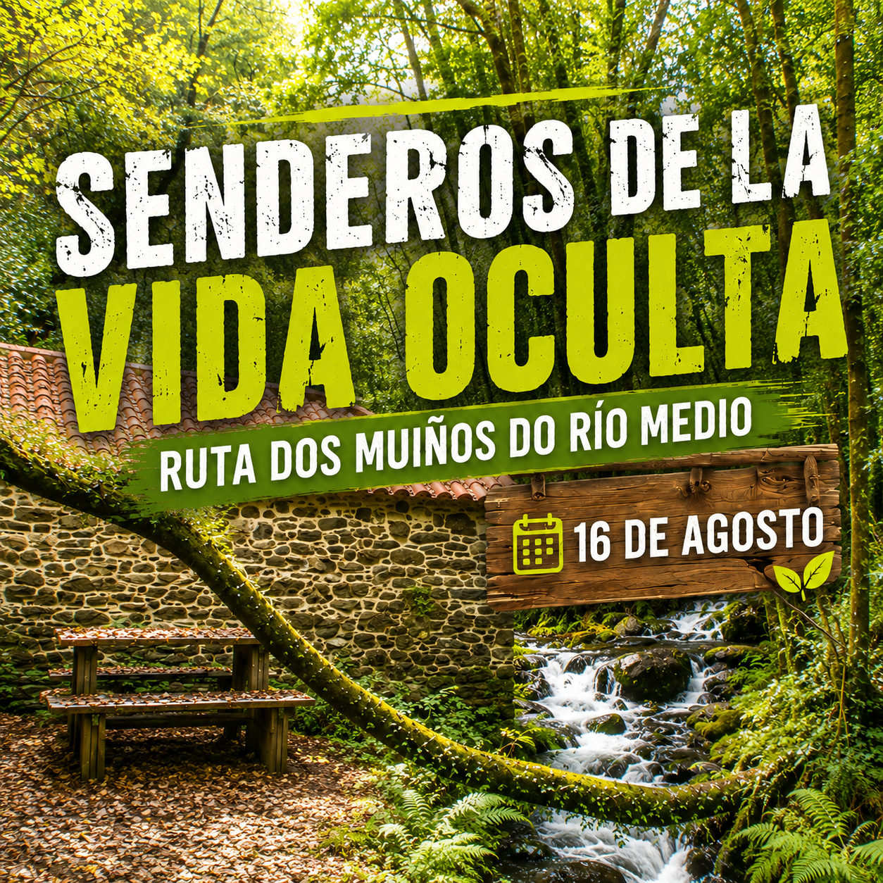 Senderos de la vida oculta. Ruta dos Muíños do Río Medio (16 de agosto)