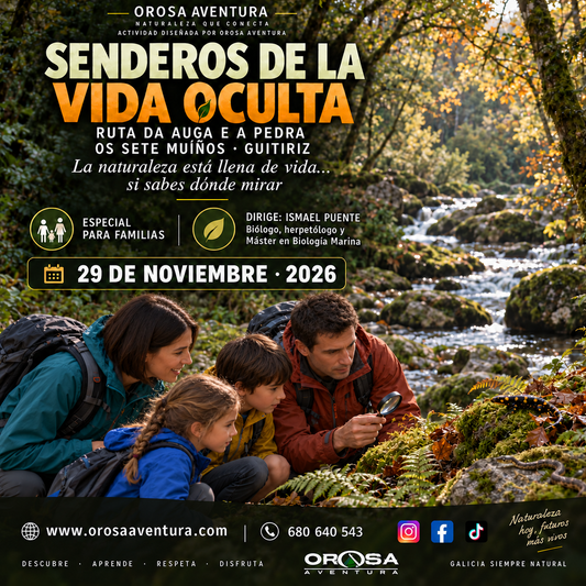 Ruta de senderismo. Senderos de la vida oculta: Ruta da Auga e a Pedra y Os Sete Muíños ( 29 Noviembre)
