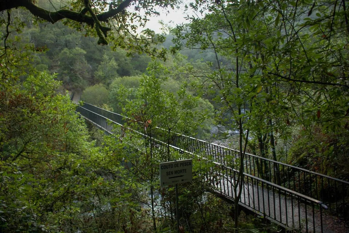 Ruta de senderismo, capela de San Paio, Fervenza do Toxa y pasarela del rio Deza  (19 Abril)