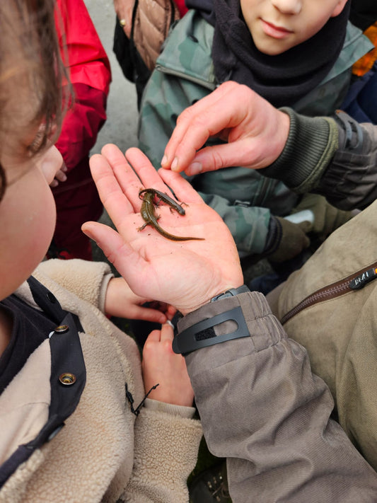 Ruta de senderismo "Senderos de la vida oculta"  (29 de Marzo , 2026)