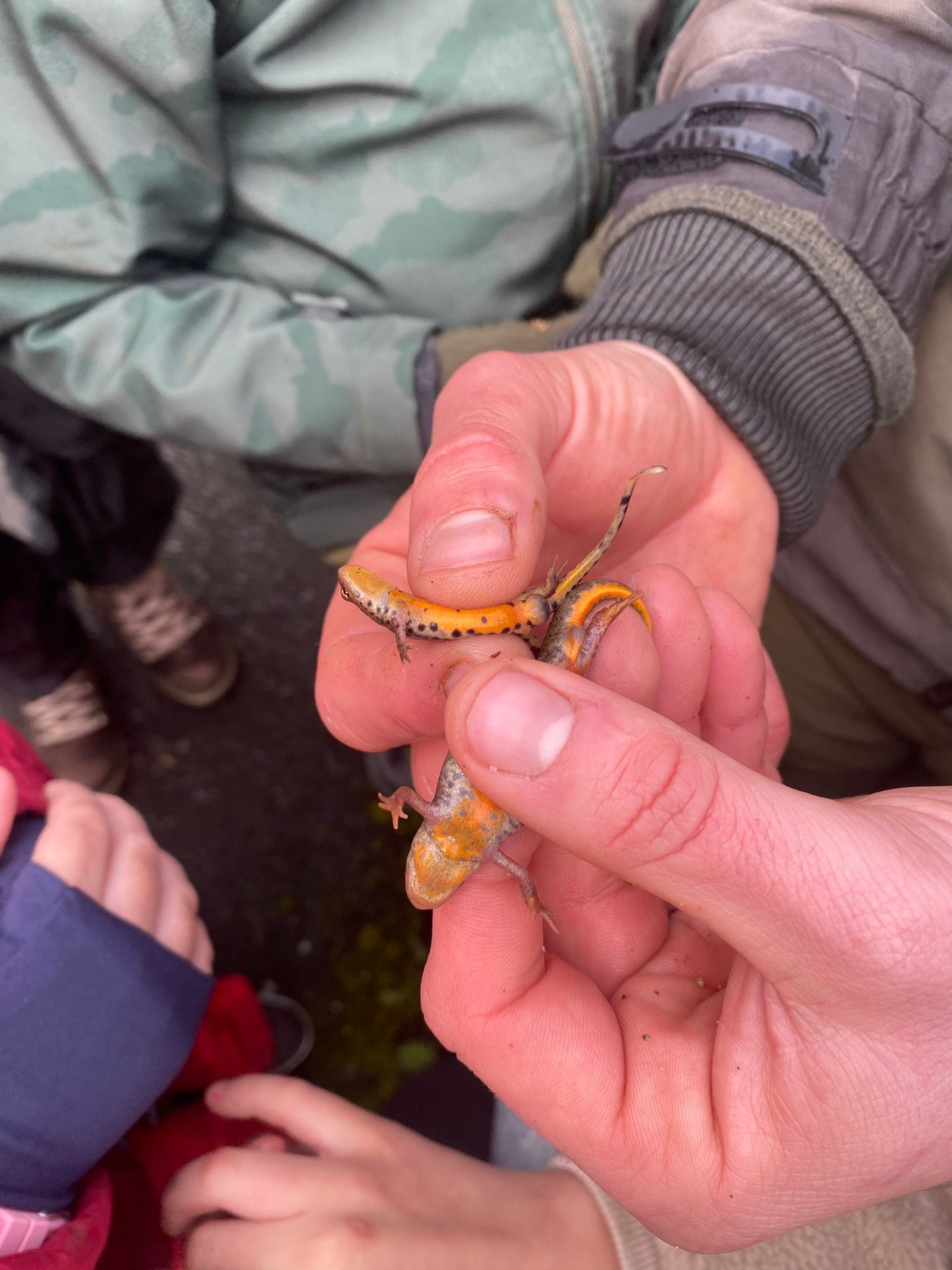 Ruta de senderismo "Senderos de la vida oculta"  (29 de Marzo , 2026)