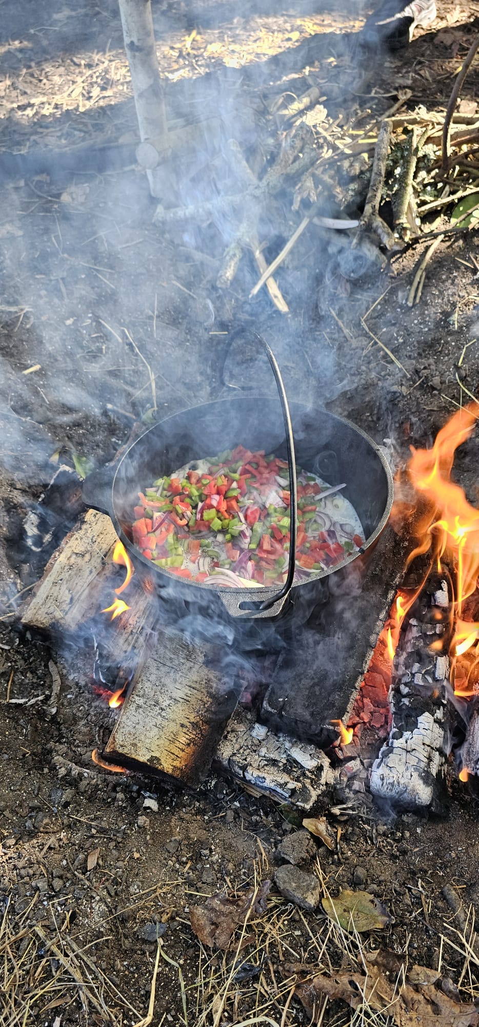 Curso de Bushcraft: habilidades tradicionales para vivir y desenvolverte en la naturaleza (24-25 octubre)