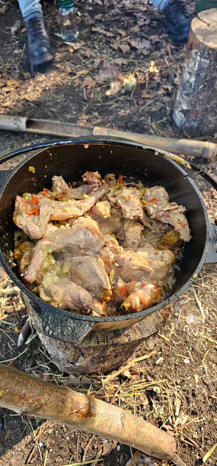 Curso de Bushcraft: habilidades tradicionales para vivir y desenvolverte en la naturaleza (24-25 octubre)