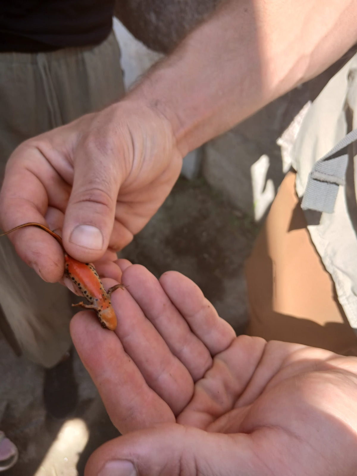 Senderos de la vida oculta. Ruta de Chelo y el río Mandeo ( 10 de Octubre)