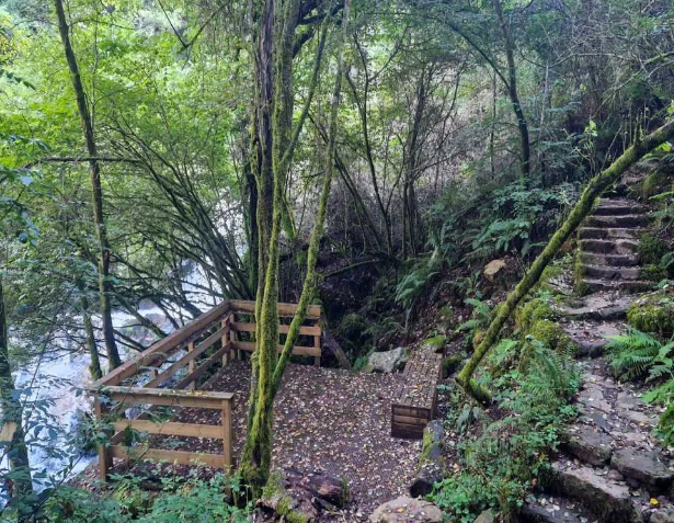 Ruta de senderismo, capela de San Paio, Fervenza do Toxa y pasarela del rio Deza  (19 Abril)