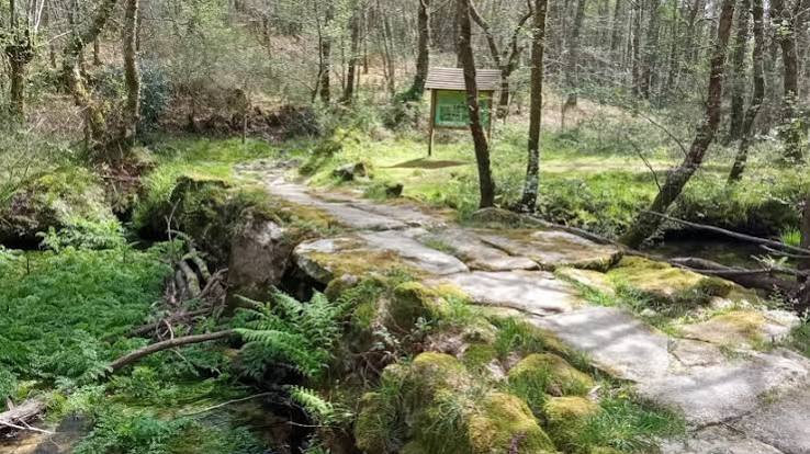 Ruta de senderismo. Senderos de la vida oculta: Ruta da Auga e a Pedra y Os Sete Muíños ( 29 Noviembre)