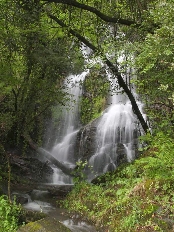 Ruta de Senderismo PR-G 93 – Ribeira do Río Ulla ( 24 Mayo)