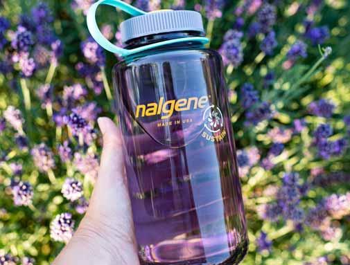 Botella reutilizable sin BPA Nalgene Sustain Berenjena 1L NORTHVIVOR