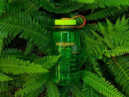 Botella verde BPA FREE Nalgene Sustain 1L NORTHVIVOR